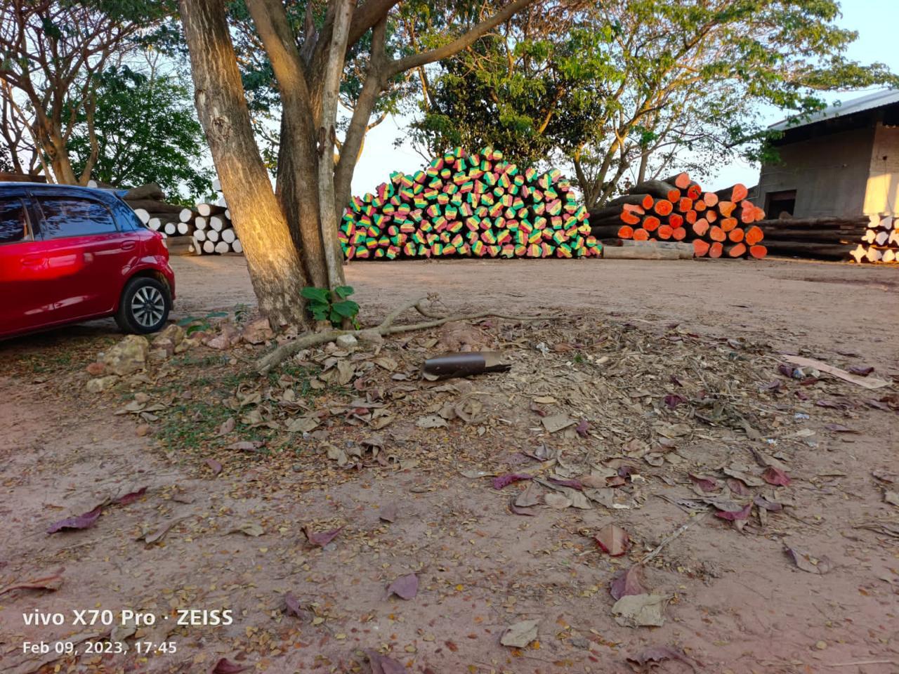Burma Teak Processing