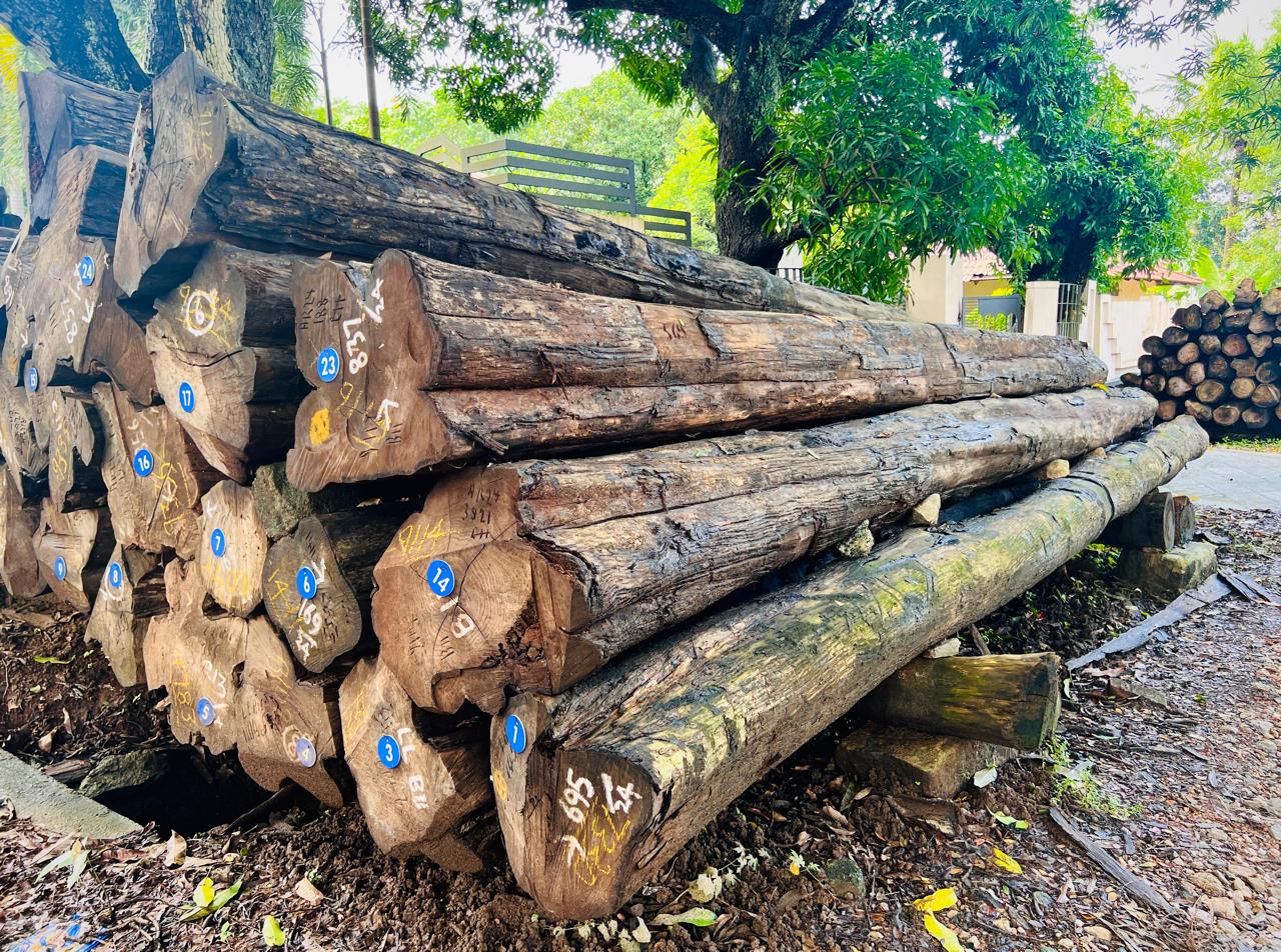 African Teak Processing