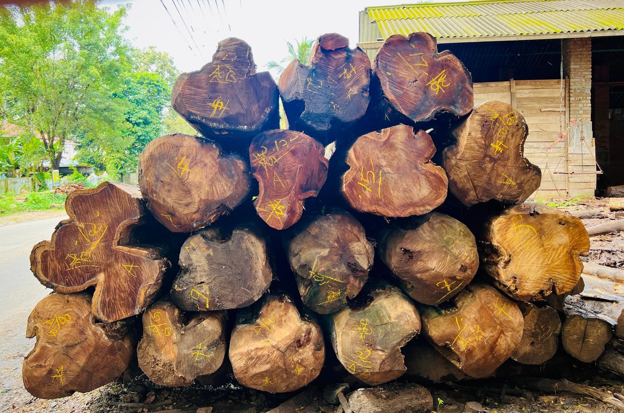 African Teak Storage