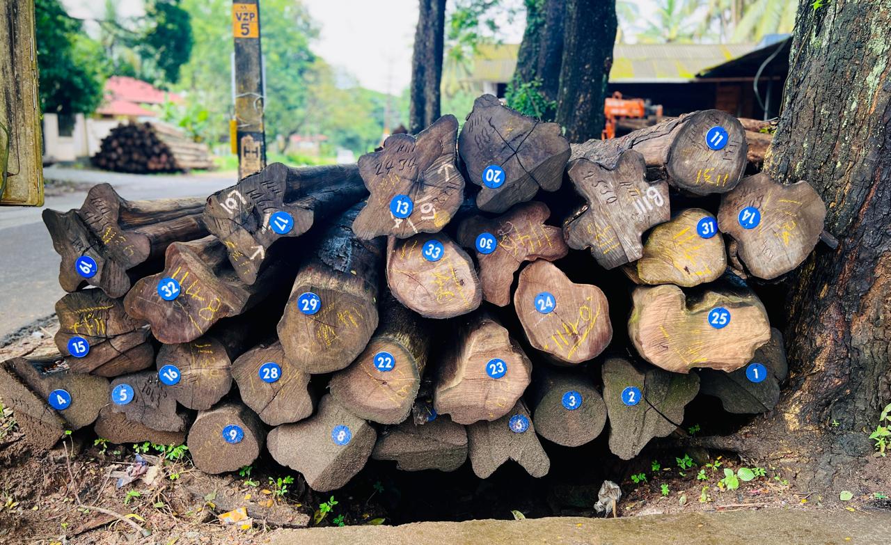 African Teak Workshop