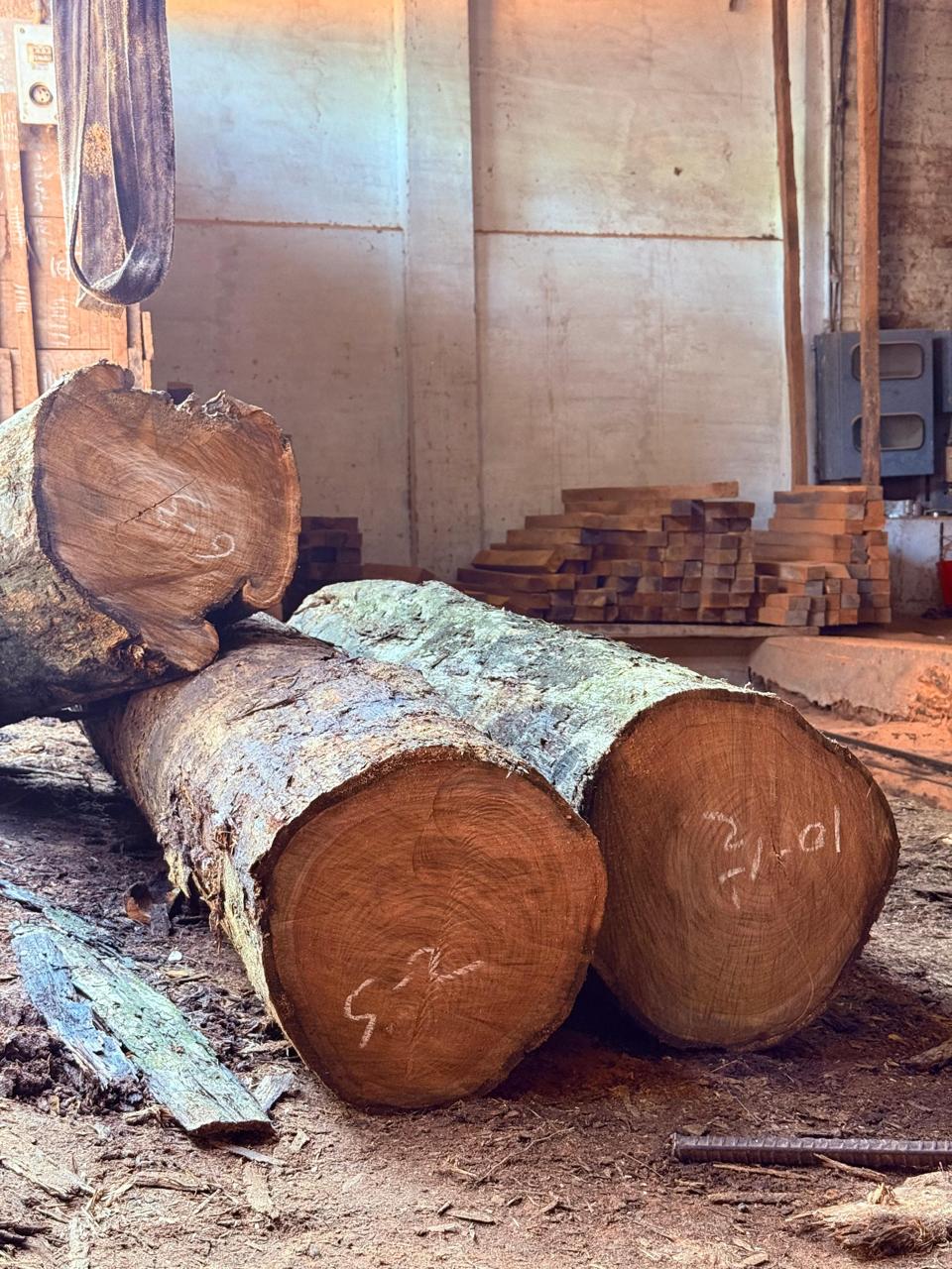 African Teak Workshop